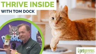 Leaning in to Your Cat's Natural Instinct | THRIVE INSIDE ft. Tom Dock | PurrCon 2025