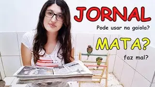 JORNAL NA GAIOLA, PODE ? - UDP