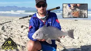 Belman Braai/BBQ on the Beach [CATCH CLEAN COOK] Macassar Beach, Western Cape, South Africa