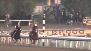 Blinkers On Horse Racing Partnerships Top of the World 9/19/13