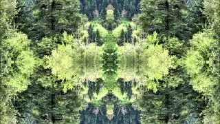 Element Over Nature - D-Generation (Cyberhead 12
