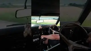 462 Pontiac 1969 Firebird TKO600 Tremec 5 speed