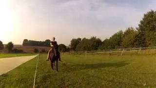 freies Reiten mit Linsa, ohne Sattel und ohne Trense
