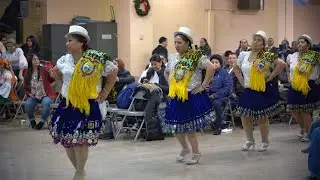 El baile de las platilleras (4K) | 1er vídeo del 2020