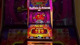 #casino #slot #vegas #casinogames #jackpot #gamble #gambling #cruise #slotscasinogames #casinogame