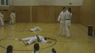 Taekwondo Showkampf 1 Gala 2009