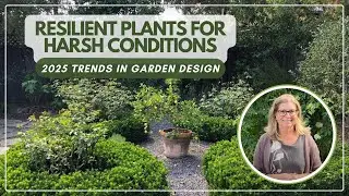 #6 - Turning to Resilient Plants to Manage Environmental Stressors