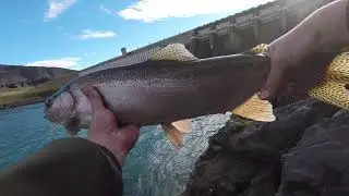 Fishing the Waitaki District 2019