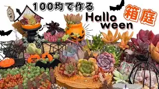 #155 100均セリアの小物と多肉植物でハロウィンの箱庭作ってみた Halloween's miniature garden【 エケベリア 】【 ミニチュアガーデン 】