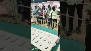 paisa vasool
