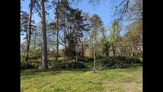 Futoški park nova žrtva divljačke urbanizacije Novog Sada
