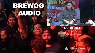 BREWOG audio Live Dj Biddy