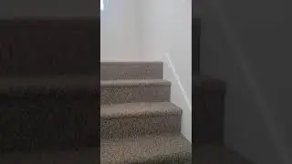 1 Bed 1 Bath Apartment