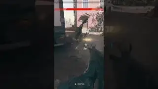 Timing the dolphin dive