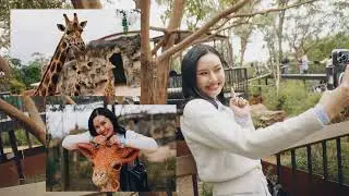 Отправляйтесь в Сидней с командой THAI Crew 🇦🇺💜