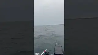 Dodging Storms Salmon Fishing, First Skunk of The Summer.