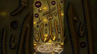 3 Rewards of Quran🥰👍#beautful#love #shortsfeed #shortvideo #shorts#short #shortsvideo #trending#duet