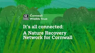 It&rsquo;s all connected: a Nature Recovery Network for Cornwall