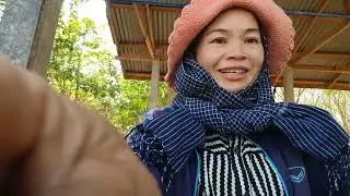 บ่ายนี้ที่สวนยางมีอะไร#สวนยางพารา 