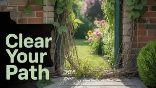 Feng Shui For Wealth - 5 Feng Shui Secrets You Need to Know for Better Financial Flow