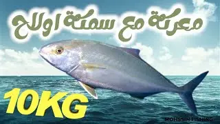 صيد أولاح بي #spininng في #المضيق #moroco #fishing #mdiq #صيد #سمك #بحر #المضيق