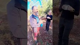 G&ouml;k&ccedil;e &Ccedil;etibeli mevki