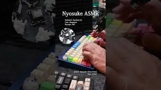ASMR Keychron Q1 + Epomaker Zebra Switch