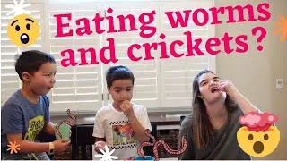 Eating INSECTS and WORMS *Disgusting* kids family friendly autism special needs dandy walker