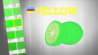 Pantone Color Bridge