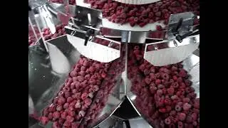 🔥 LAMPONI PESATRICE MULTITESTA MULTIHEAD WEIGHERS 🔥