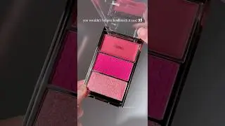 *Patrick entered the chat* 👀 makeup revolution  icon palette in hot pink flag 💓 #blushtrio #makeup