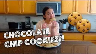 Testing the Tasty CHOCOLATE CHIP COOKIES | N.K. Cookery