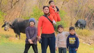Enjoying a Healthy Day | Walking, Horse 🐎 Rides with Fresh Orange  🍊 and Bacha Party