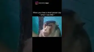 type shit #memeshit #memeshitpost #funnyshi #funnyshit #jokesfordays #funnyjokes