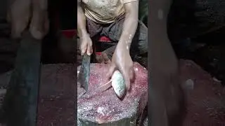 Small Fish Cutting Skills #shorts #youtubeshorts #trending #2023