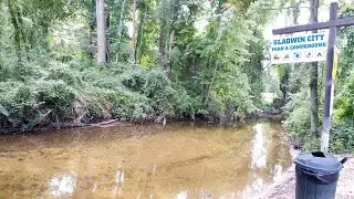 Nature Trek | Gladwin, MI