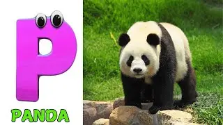 A for Apple Song | Phonics for Kids | ABC Song for Kids | Alphabet Letters