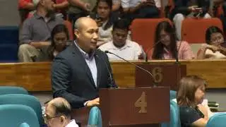 09072017 Alejano, Gary PDEA Budget Interpellation