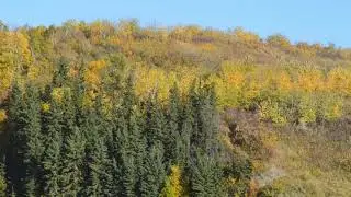 Rundle Park Edmonton Video | Picnic Sites in Edmonton