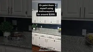 Scared to paint m kitchen cabinets!! ALL-IN-ONE Paint makes it easy!