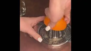 Stainless Steel Manual Citrus Juicer Set - Multifunctional Lemon & Orange Squeezer