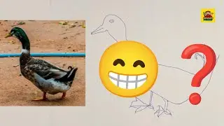 Funny duck drawing 🦆😁 Click to see a strange drawing