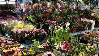 10 Ocak 2026 Aydın Nazilli #keşfet #kesfetteyiz #kargo #05061114721 #kesfetteyiz #garden #