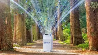 WELLISAIR - Air and Surface Disinfection - New Presentation Video 2020 (Trailer)
