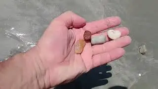 Jeri