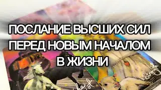💌ПОСЛАНИЕ ВЫСШИХ СИЛ ПЕРЕД НОВЫМ НАЧАЛОМ В ЖИЗНИ ✨🙏@taro88833#таро #тароонлайн#тарорасклад