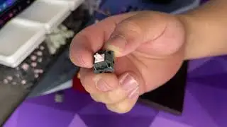 NK65 EE Watermelon with Alpaca v2 Sound Test