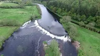 St. Mullins Weir - a major fish migration barrier