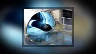 SwRI Culvert Inspection System