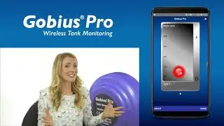 Gobius Pro - Calibration and editing